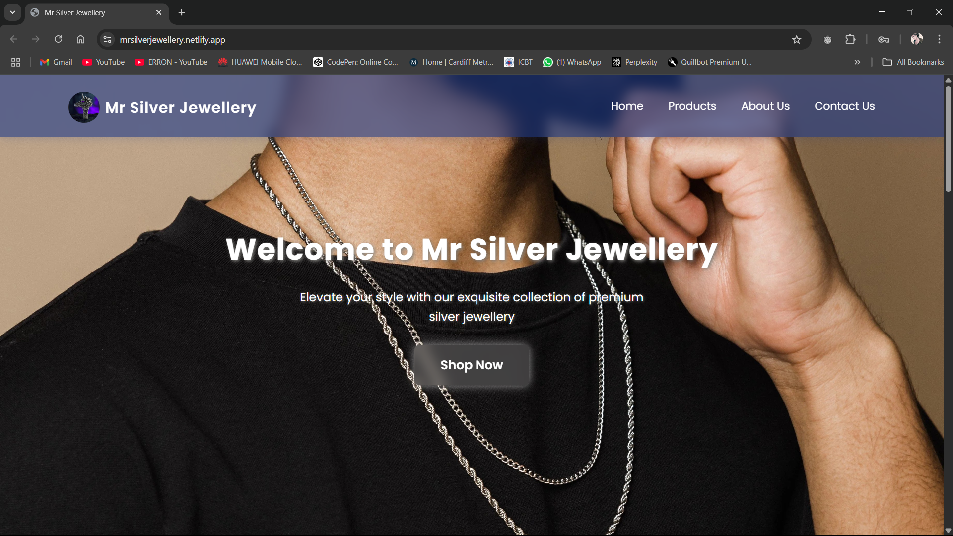 jewelleryWebsite